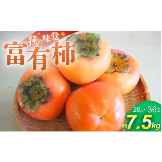 ふるさと納税 果物類 柿 和歌山県 かつらぎ町 かつらぎの陽だまりが育てた富有柿約7.5kg 2026年11月上旬〜12月上旬頃発送予定 /柿 フルーツ 果物 和歌山県 …