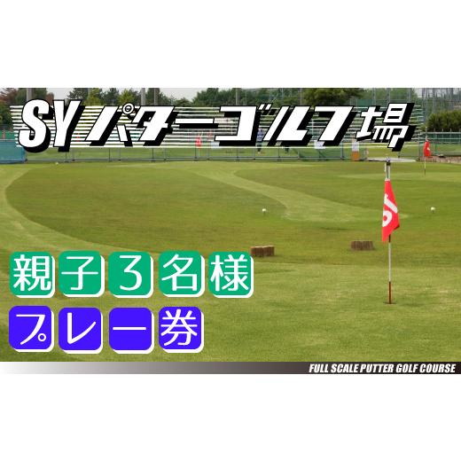 ふるさと納税 ゴルフ場利用券 千葉県 松戸市 16556002 エスワイパターゴルフ プレー券(親子3名)