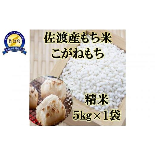 ふるさと納税 米・パン もち米 新潟県 佐渡市 令和7年産 佐渡産もち米 こがねもち 精米5kg×1袋