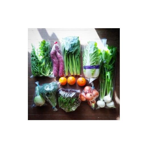 ふるさと納税 野菜類 大阪府 豊能町 おまかせ野菜セット(2026年5月下旬〜発送予定) 1702373