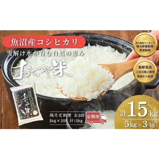 ふるさと納税 米 コシヒカリ 新潟県 小千谷市 全3回定期便 注文後に精米する新鮮発送 令和7年産 新潟県 魚沼産コシヒカリ「おぢや米」合計15kg(5kg×1袋×隔…