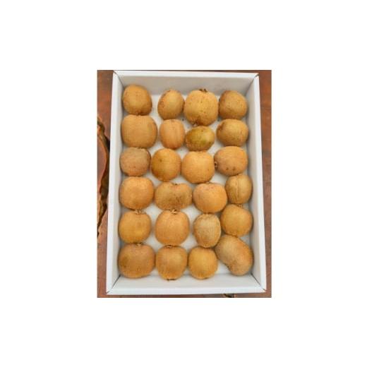 ふるさと納税 果物類 静岡県 掛川市 農園直送 訳アリキウイフルーツ2kg〜2.4kg(24個〜30個) 1705165