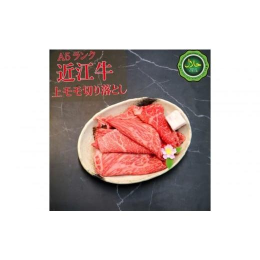 ふるさと納税 牛肉 カレー・シチュー 大阪府 門真市 近江牛切り落とし250g 近江牛 ハラルビーフ 切り落とし 澤井姫和牛