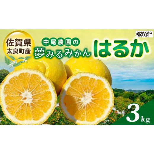 ふるさと納税 果物類 みかん 佐賀県 太良町 中尾農園の夢みるみかん はるか 3kg みかん ミカン 蜜柑 柑橘 フルーツ くだもの 果物 はるか 小玉 クレメンティン…