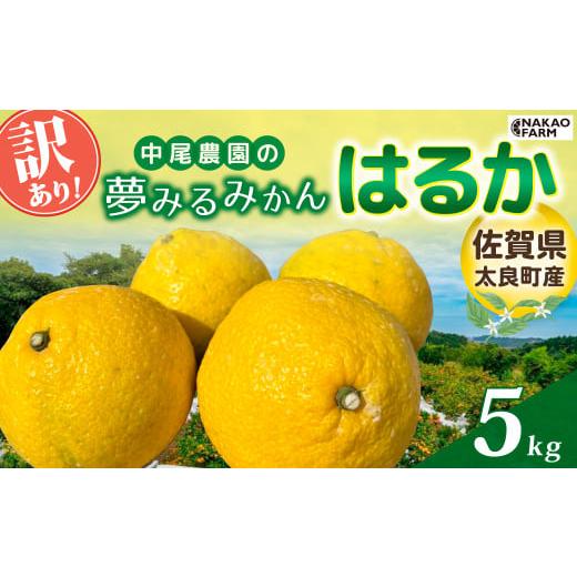 ふるさと納税 果物類 みかん 佐賀県 太良町 訳あり 中尾農園の夢みるみかん はるか 5kg みかん ミカン 蜜柑 柑橘 フルーツ くだもの 果物 はるか 小玉 ビタミ…