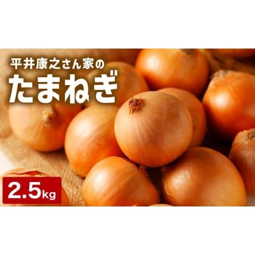 ふるさと納税 野菜類 玉ねぎ 北海道 岩見沢市 岩見沢産「平井康之さん家のたまねぎ」M玉 2.5kg 食絶景北海道×ゼロカーボンアワード2024 奨励賞『オニオンスナ…