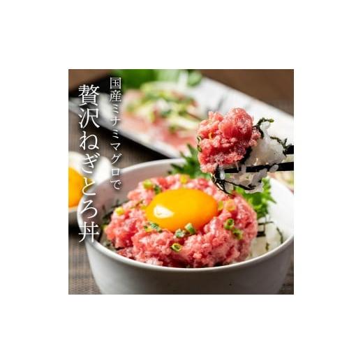 ふるさと納税 マグロ 静岡県 焼津市 a12-277 南鮪入り 焼津 海の極 ネギトロ 小分け 計1kg 100g×10パック