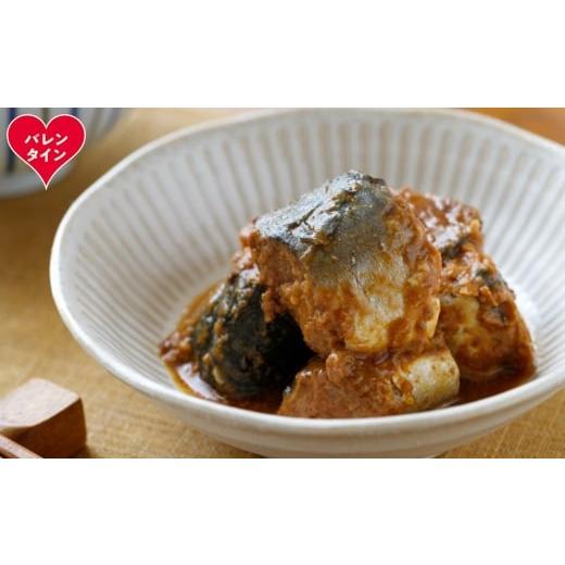 ふるさと納税 缶詰・瓶詰 魚貝類 北海道 紋別市 17-220 バレンタインデー さば味噌煮缶A(10缶)