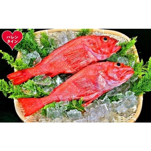 ふるさと納税 魚貝類 北海道 紋別市 22-147 バレンタインデー キンキ(600g前後2尾)