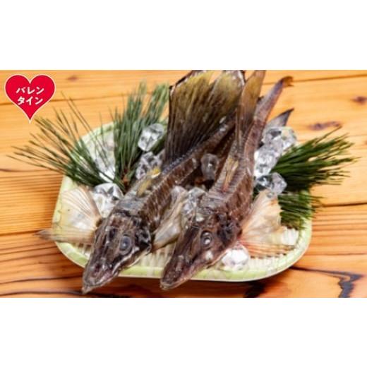 ふるさと納税 干物 北海道 紋別市 12-309 バレンタインデー オホーツク八角丸干し1kg