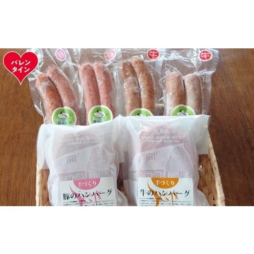 ふるさと納税 肉 ソーセージ 北海道 紋別市 14-223 バレンタインデー 牛と豚のハンバーグ・フランクセット