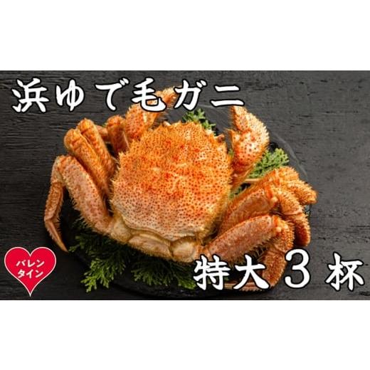 ふるさと納税 カニ 毛ガニ 北海道 紋別市 78-21 バレンタインデー 流氷明け浜ゆで毛ガニ 特大3杯