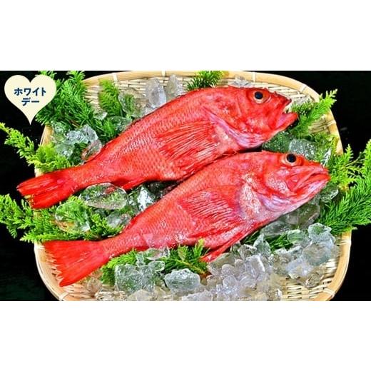 ふるさと納税 魚貝類 北海道 紋別市 22-150 ホワイトデー キンキ(600g前後2尾)