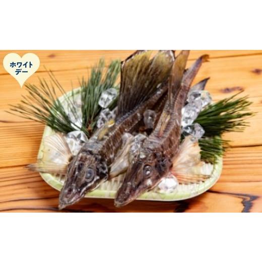 ふるさと納税 干物 北海道 紋別市 12-323 ホワイトデー オホーツク八角丸干し1kg