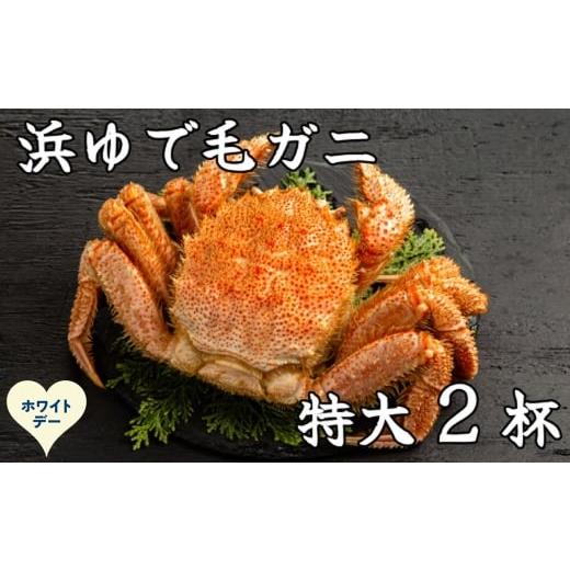 ふるさと納税 カニ 毛ガニ 北海道 紋別市 52-20 ホワイトデー 流氷明け浜ゆで毛ガニ 特大2杯