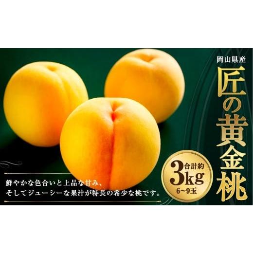 ふるさと納税 もも 岡山県 倉敷市 岡山県産 黄色い桃 匠の黄金桃 約3kg箱 6〜9玉 2026年8月下旬〜9月下旬発送予定 黄金桃 桃 もも モモ ピーチ 黄色 黄金 フル…