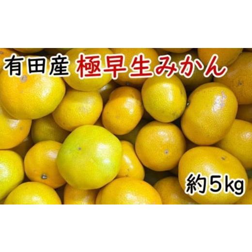 ふるさと納税 果物類 みかん 和歌山県 有田川町 秀品 有田産極早生みかん約5kg(2S〜Lサイズ混合) 2026年10月中旬頃より順次発送