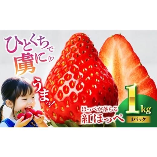 ふるさと納税 いちご 愛媛県 大洲市 紅ほっぺ(M〜3L)×4パック 約1kg 愛媛県大洲市/沢井青果有限会社