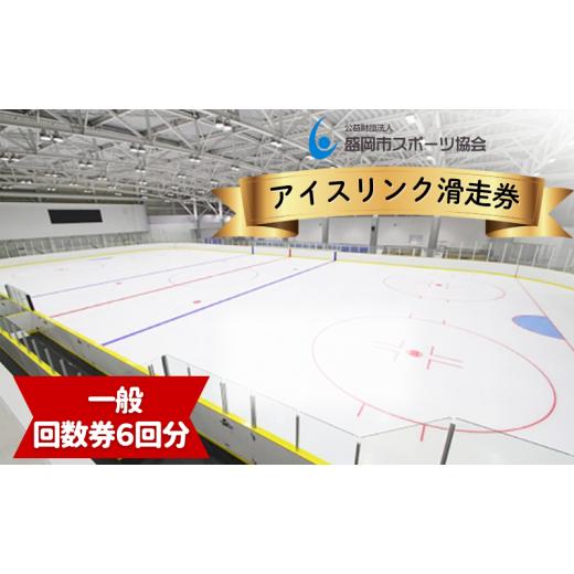ふるさと納税 入場券・優待券 岩手県 盛岡市 盛岡市アイスリンク 回数(滑走6回)券 一般