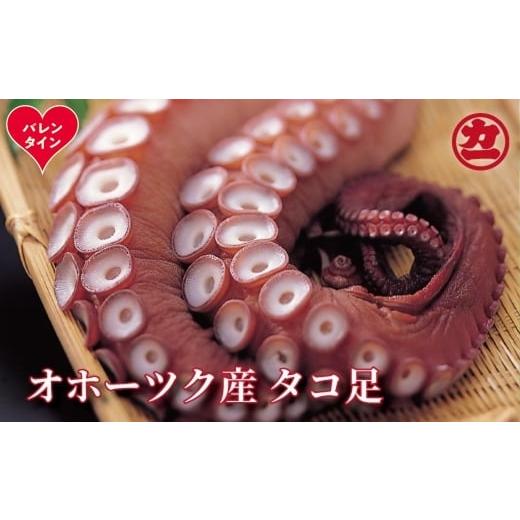 ふるさと納税 タコ 北海道 紋別市 14-230 バレンタインデー オホーツク産タコ足