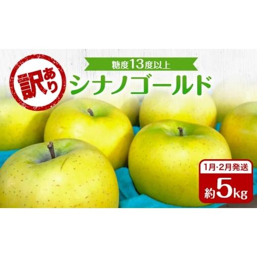 ふるさと納税 りんご 青森県 板柳町 りんご 1月・2月発送 糖度13度以上 訳あり品 家庭用 シナノゴールド 約 5kg 青森りんご 果物 フルーツ デザート 食後 青森…