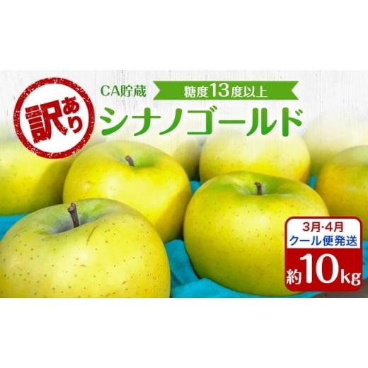ふるさと納税 りんご 青森県 板柳町 りんご 3月・4月クール便発送 糖度13度以上 訳あり品 家庭用 CA貯蔵 シナノゴールド 約 10kg 青森りんご 果物 フルーツ デ…