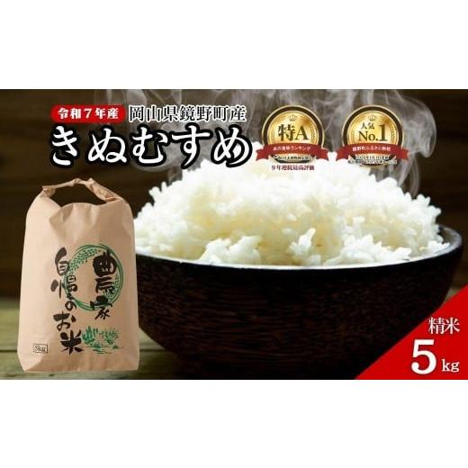 ふるさと納税 米 きぬむすめ 岡山県 鏡野町 令和7年産 鏡野町産 きぬむすめ 精米 5kg 035-a012 5kg