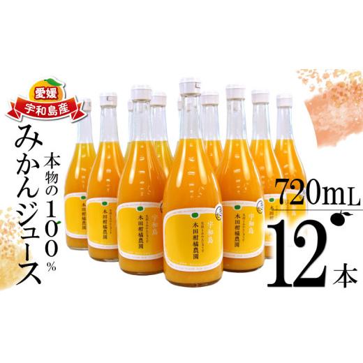 ふるさと納税 果汁飲料 みかん 愛媛県 宇和島市 みかんジュース 本物の100％みかんジュース 720ml × 12本 木田柑橘農園 南柑20号 温州みかん 温州蜜柑 みかん…の画像