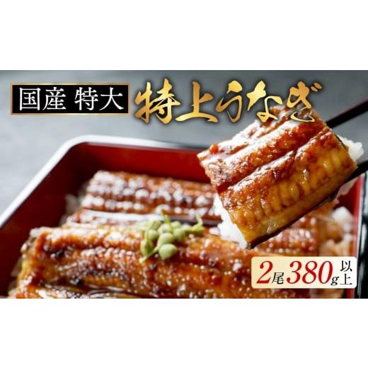 ふるさと納税 うなぎ 北海道 別海町 (6月発送)国産 特大 特上うなぎ 2尾 合計 380g 以上 ( 国産 うなぎ 鰻 ウナギ 蒲焼き 蒲焼 かばやき 魚 魚介 魚貝 海…