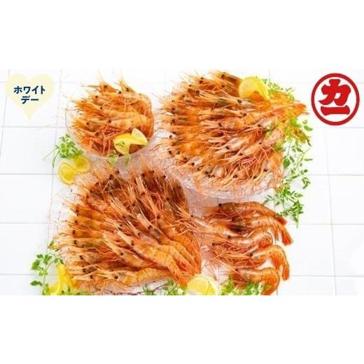 ふるさと納税 エビ ぼたんエビ 北海道 紋別市 65-16 ホワイトデー どどーんと2kgぼたんえびセット