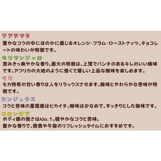 ふるさと納税 珈琲 珈琲粉 千葉県 銚子市 珈琲 おまかせ定期便 3回 各約400g(200g×２種) 粉 自分自身焙煎 定期便 3ヶ月 おまかせ 珈琲 コーヒー ドリ…