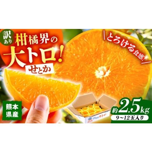ふるさと納税 果物類 みかん 熊本県 山鹿市 2026年2月下旬から発送 訳あり せとか みかん 家庭用 約2.5kg 果物 フルーツ 小春農園