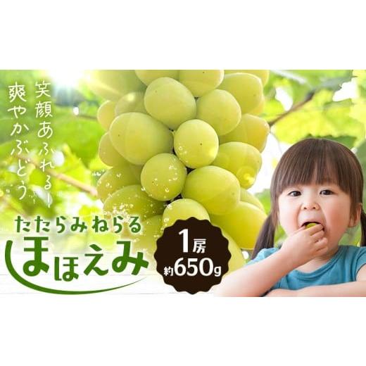 ふるさと納税 ぶどう マスカット 岡山県 笠岡市 先行予約 たたらみねらる ほほえみ 1房(約650g) Y&G.ディストリビューター株式会社[2026年8月中旬-10月…
