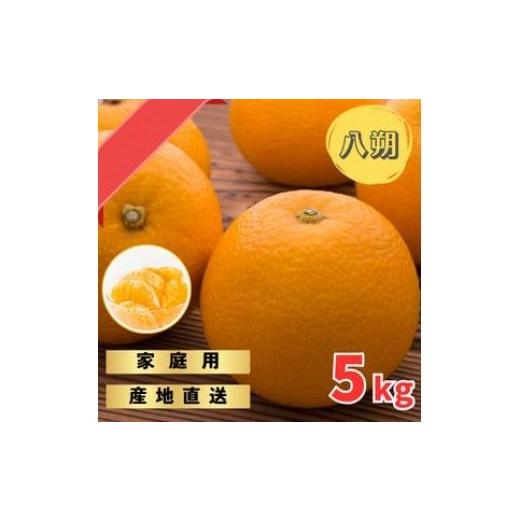 ふるさと納税 果物類 みかん 和歌山県 印南町 木なりはっさくみかんご家庭用 5kg箱入
