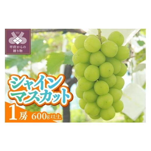 ふるさと納税 ぶどう マスカット 山梨県 甲府市 [2026年度配送分]甲府市産 シャインマスカット 1房入り 600g以上