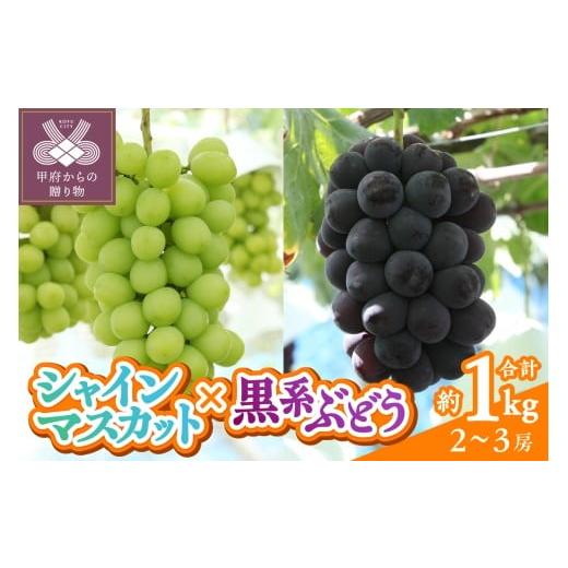 ふるさと納税 ぶどう マスカット 山梨県 甲府市 [2026年度配送分]甲府市産 シャインマスカット×黒系ぶどう 約1.0kg(2〜3房)