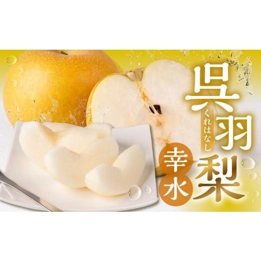 ふるさと納税 梨 富山県 富山市 先行予約・2026年8月25日〜9月10日に発送 呉羽梨(くれはなし)5kg箱