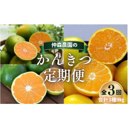 ふるさと納税 果物類 みかん 三重県 熊野市 全3回 仲森農園の柑橘定期便 合計3種 9kg 超極早生温州「みえ紀南一号」・極早生温州・由良早生 みかん ミカン 蜜…