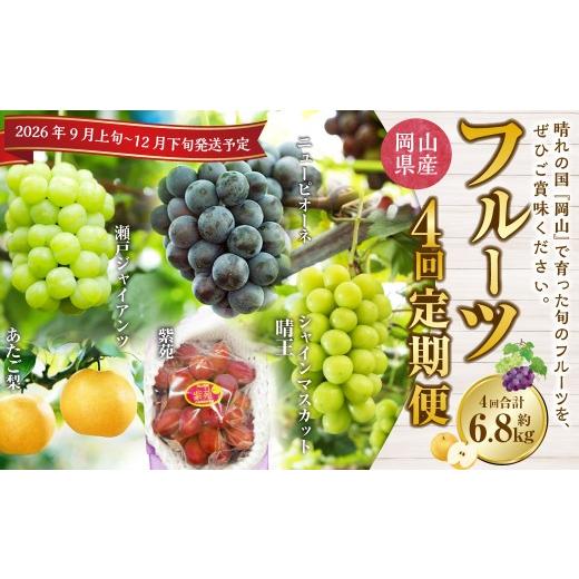 ふるさと納税 ぶどう 岡山県 美咲町  4回定期便 岡山県産 フルーツ定期便コース （ニューピオーネ ・ シャインマスカット ・ 紫苑 ・ あたご梨） 2026年9月上…_1