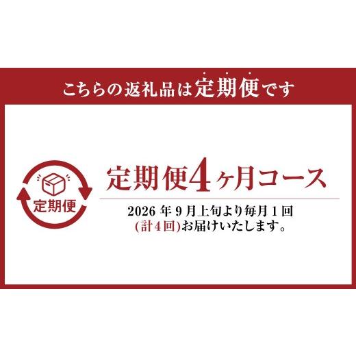 ふるさと納税 ぶどう 岡山県 美咲町  4回定期便 岡山県産 フルーツ定期便コース （ニューピオーネ ・ シャインマスカット ・ 紫苑 ・ あたご梨） 2026年9月上…_2