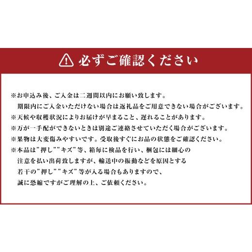 ふるさと納税 ぶどう 岡山県 美咲町  4回定期便 岡山県産 フルーツ定期便コース （ニューピオーネ ・ シャインマスカット ・ 紫苑 ・ あたご梨） 2026年9月上…_5