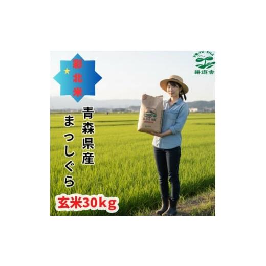 ふるさと納税 玄米 青森県 青森市 先行予約受付 令和8年 青森県産まっしぐら 玄米30kg 彩北米 1707798