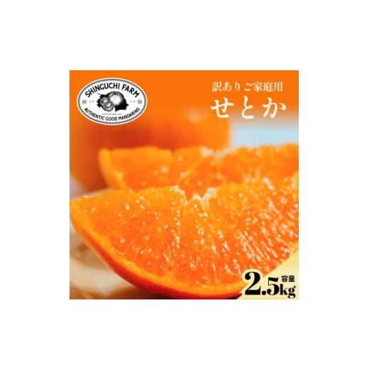 ふるさと納税 みかん・柑橘類 愛媛県 八幡浜市 数量限定 今シーズン発送 訳あり せとか 2.5kg A70-155 1707145