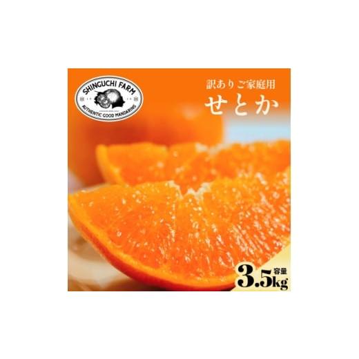 ふるさと納税 みかん・柑橘類 愛媛県 八幡浜市 数量限定 今シーズン発送 訳あり せとか 3.5kg C70-156 1707146