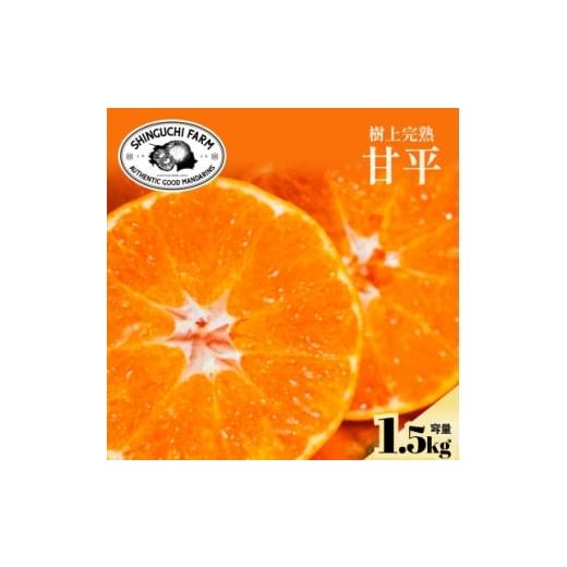 ふるさと納税 みかん・柑橘類 愛媛県 八幡浜市 数量限定 五代目が厳選した「完熟甘平」1.5kg C70-158 1707171