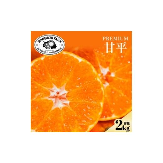 ふるさと納税 みかん・柑橘類 愛媛県 八幡浜市 贈答用 五代目が厳選した「完熟甘平」2kg D70-159 1707172