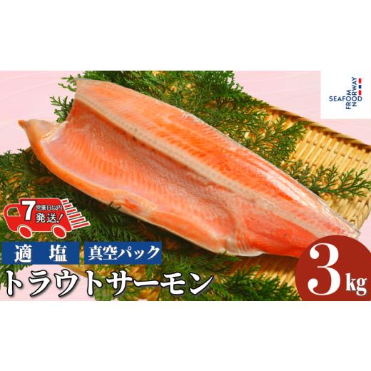 ふるさと納税 魚貝類 サーモン 千葉県 銚子市 スピード配送 トラウトサーモン 約 3kg 真空パック入り トラウト トラウトサーモン サーモン 鱒 マス 惣菜 おか…