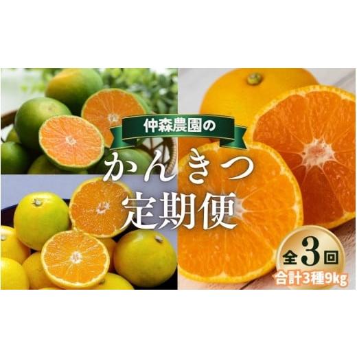 ふるさと納税 果物類 みかん 三重県 熊野市 全3回 仲森農園の柑橘定期便 合計3種 9kg 超極早生温州「みえ紀南一号」・由良早生・早生温州「完熟熊野みかん」 …