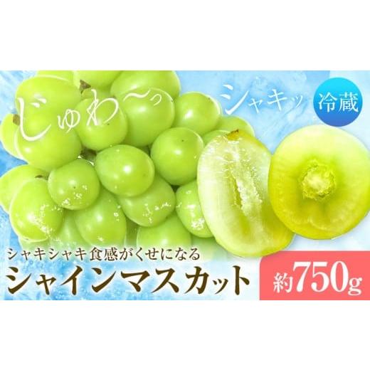 ふるさと納税 ぶどう マスカット 岡山県 浅口市 シャインマスカット 1房 750g タンポポ農園[2026年9月上旬-10月下旬頃出荷]送料無料 岡山県 浅口市 フルーツ…