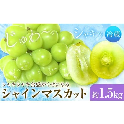 ふるさと納税 ぶどう マスカット 岡山県 浅口市 シャインマスカット 2房 1.5kg タンポポ農園[2026年9月上旬-10月下旬頃出荷]送料無料 岡山県 浅口市 フルー…